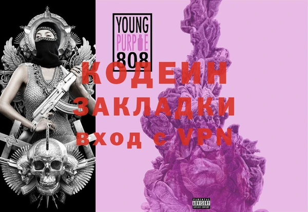 крисы Алексин